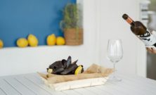 Sådan vælger du den bedste vin til fisk og skaldyr