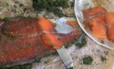 Smagen af Norden: Fra laks i Norge til sild i Danmark